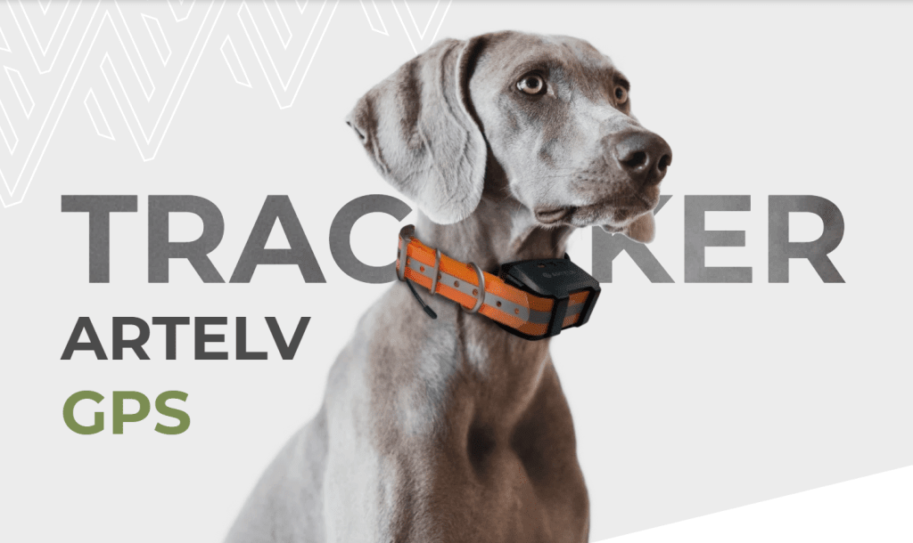 Базовая станция ARTELV TRACKER + GPS-ошейник 